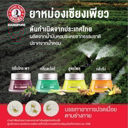 ยาหม่อง เซียงเพียว กลิ่นตะไคร้ ขนาด 20 กรัม จำนวน 3 ชิ้น_1